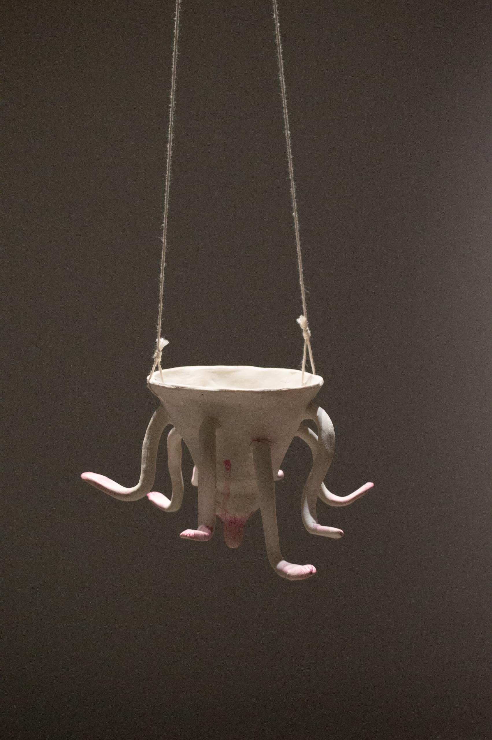 Ecologia Quotidiana at Alfaia — exhibition photograph 1