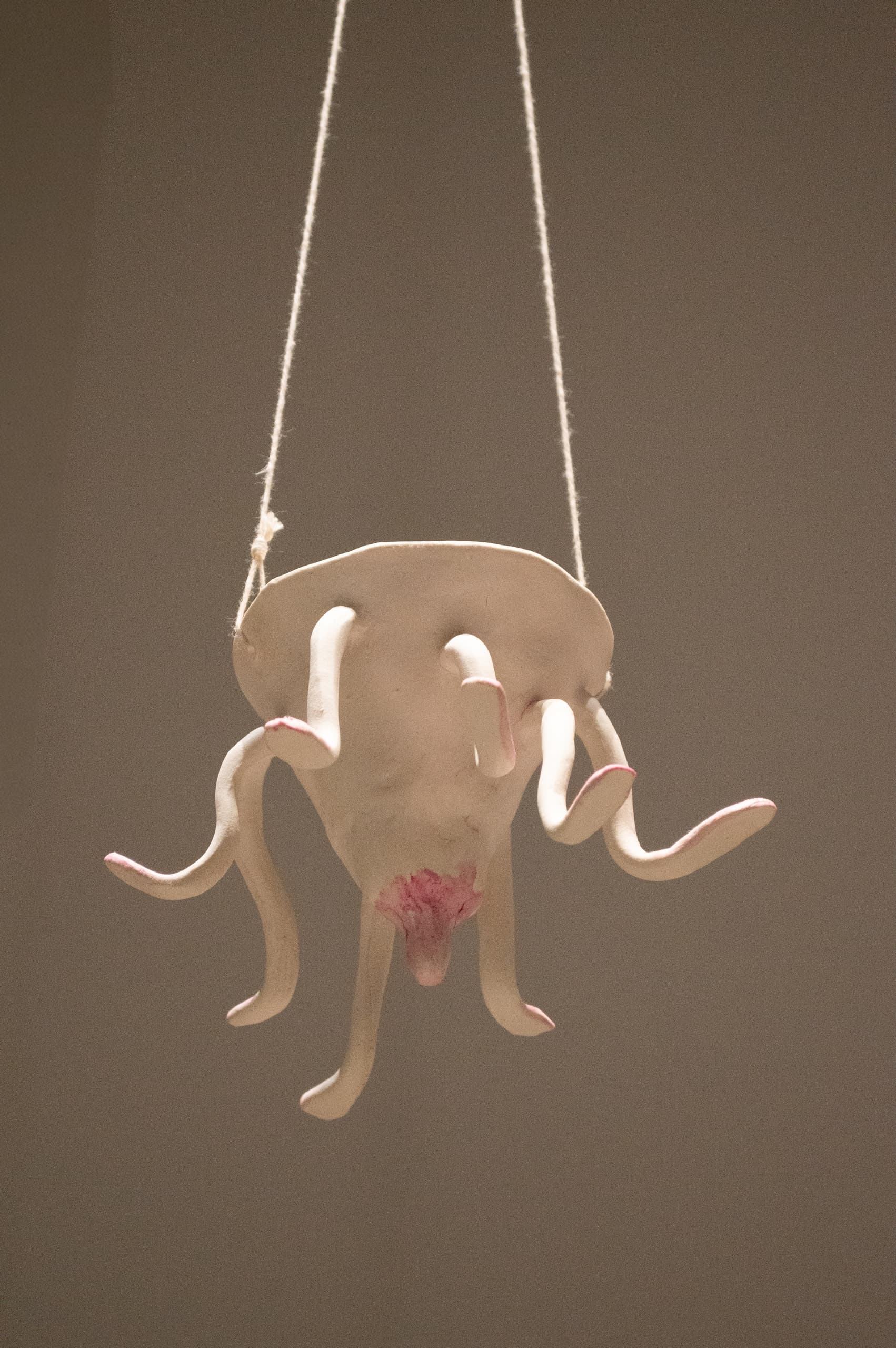 Ecologia Quotidiana at Alfaia — exhibition photograph 3